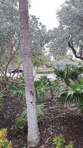 Lummus Park Artisanal Market