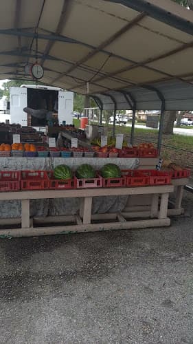 Castillo's Farm Fresh Produce