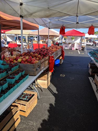 Beechwood Orchards