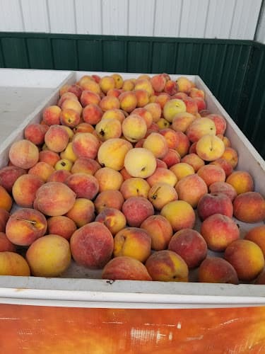 Deering Farms Market