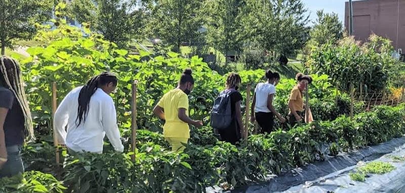 Southside Community Farm