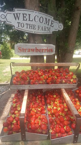 Calvin Lutz Farms
