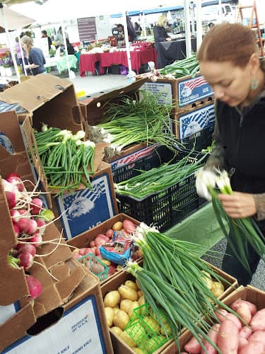Greenhearts Family Farm CSA