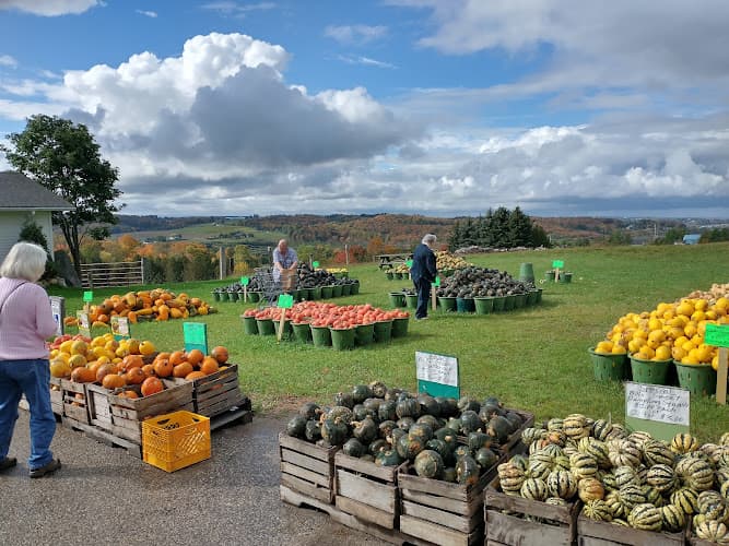 Bill's Farm Market