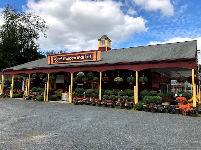 Dzen Garden Market