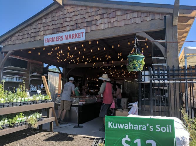 Kuwahara Wholesale