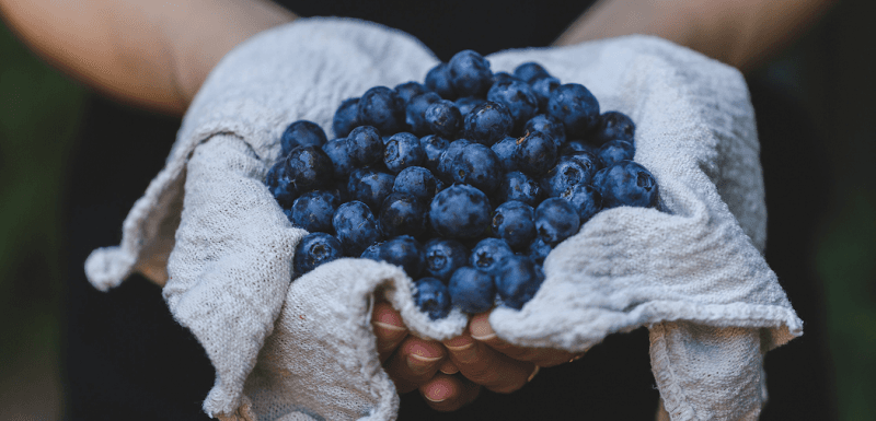 M 40_Berry Brothers Retail - Blueberry Farm in Paw Paw Michigan