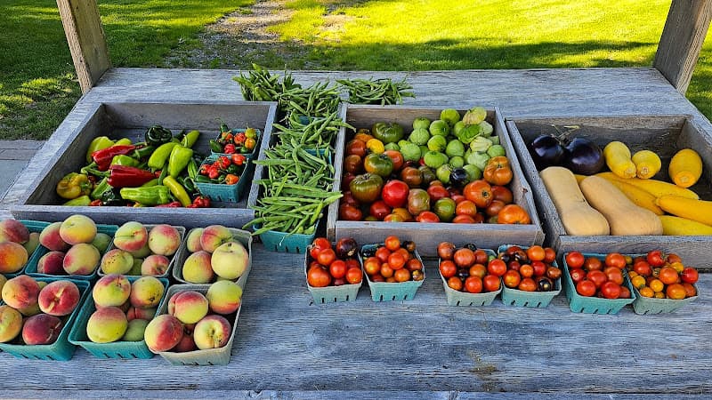 Piggy Bank Farm Stand