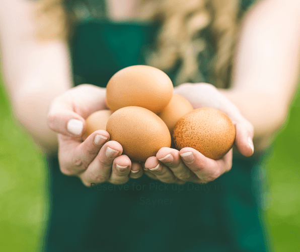 Eggs & Such - A Farm
