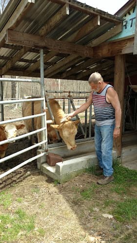 Millington Beefalo Farm