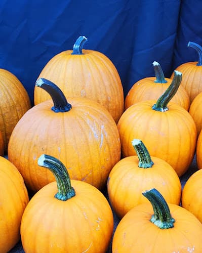 QC Farmers Market