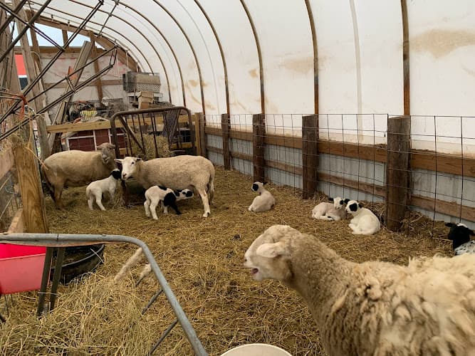 Hungry World Farm - Farmstead