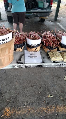 Gunterville Farmers Market