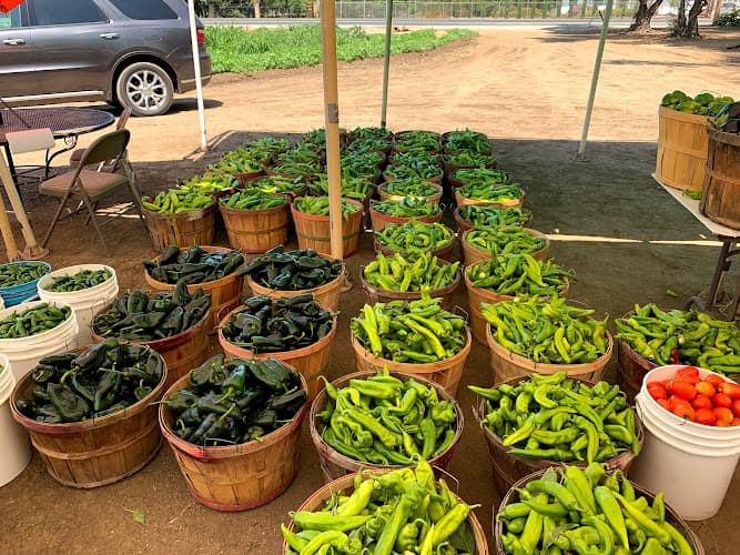 Joe’s Chile Peppers Open Seasonal Mid July- Mid October