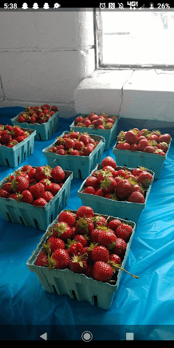 Ross fresh produce