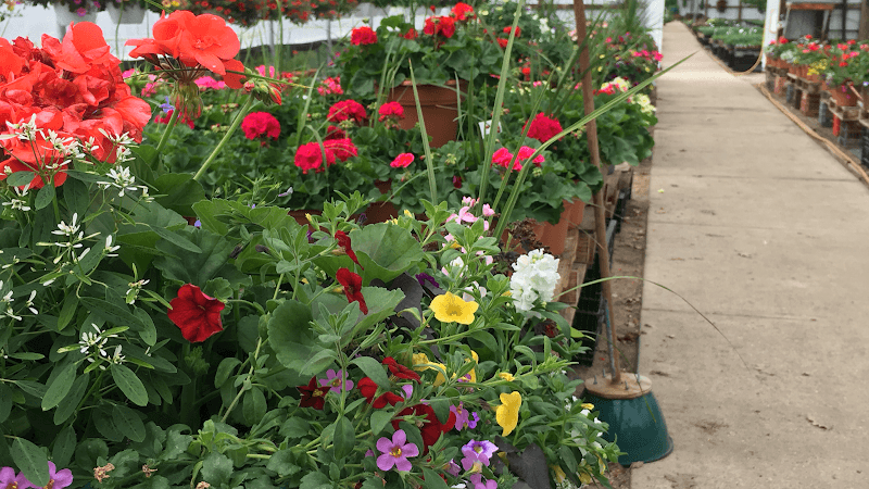 Lakeside Produce Farm Market and Greenhouse