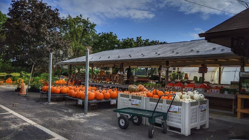 Bertuzzi's Market