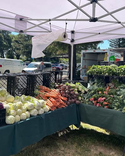 Mountain Market
