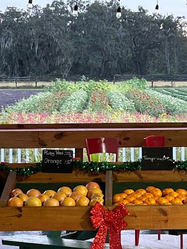 Three Son Farms, L.L.C. (McIntosh Station)