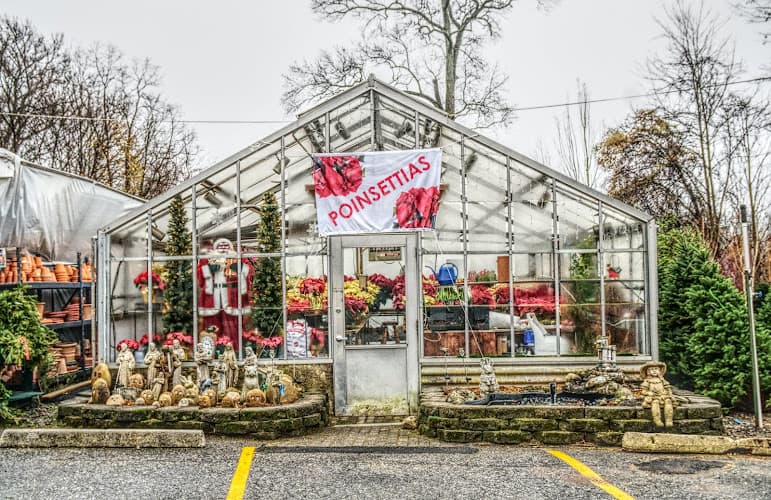 Mangone's Farmers Market