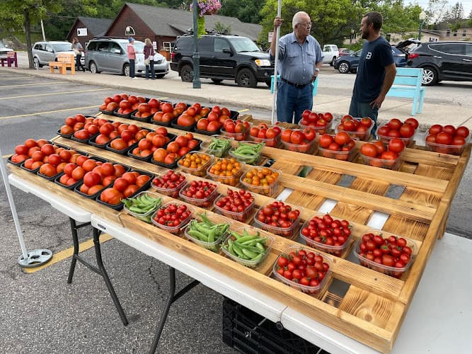 Iron Mountain Downtown Farmers & Artisans Market