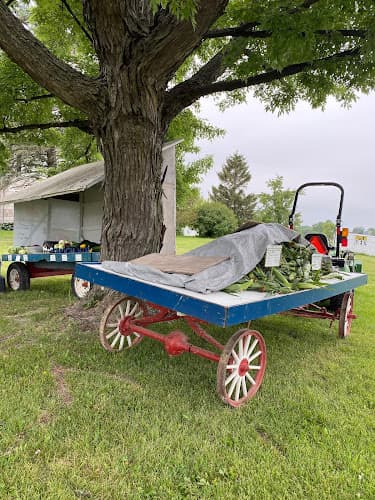 Nehmer Family Farms