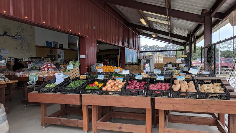 Delta Farmers Market by the Tower