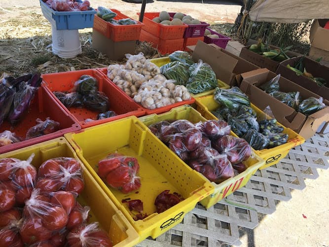 Lao Strawberrieslocal farmers marketCalifornia