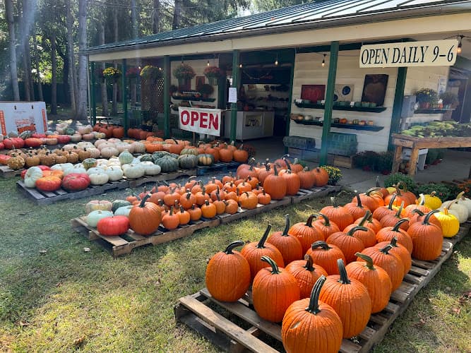 Migliorelli Farm Stand