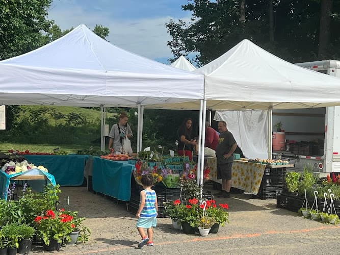Dumfries Farmers Market on Main
