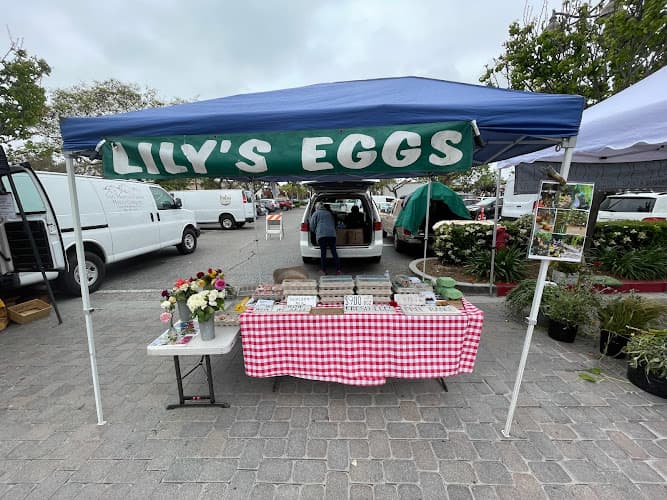 Santa Barbara Farmers Market // Sunday
