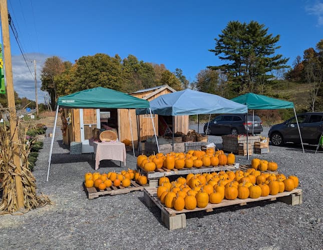 Hampton's Harvest