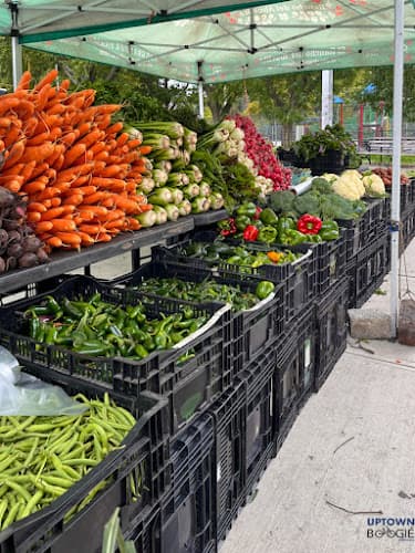 Bronx Park East Farmer Market