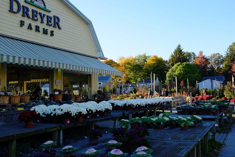 Dreyer Farms