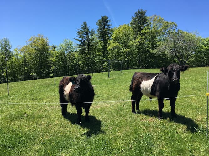 Briggs Farm
