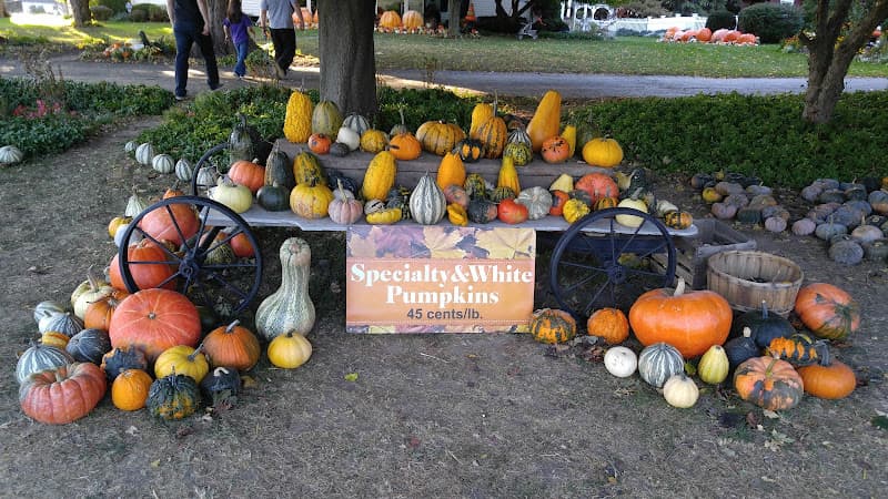 Ford Farm Market