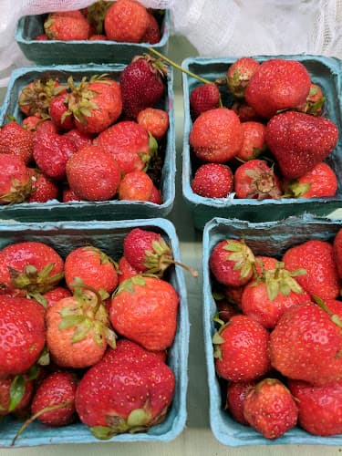Farm Land Market