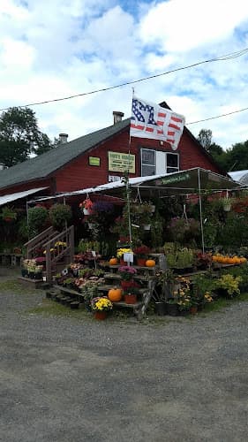 Dave's Veggies