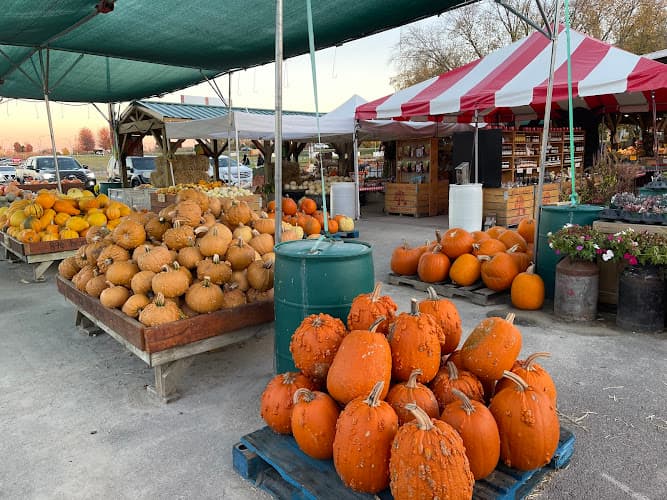 Windy Acres Farm
