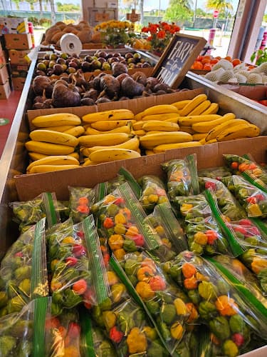 San German Farmer's Market, LLC