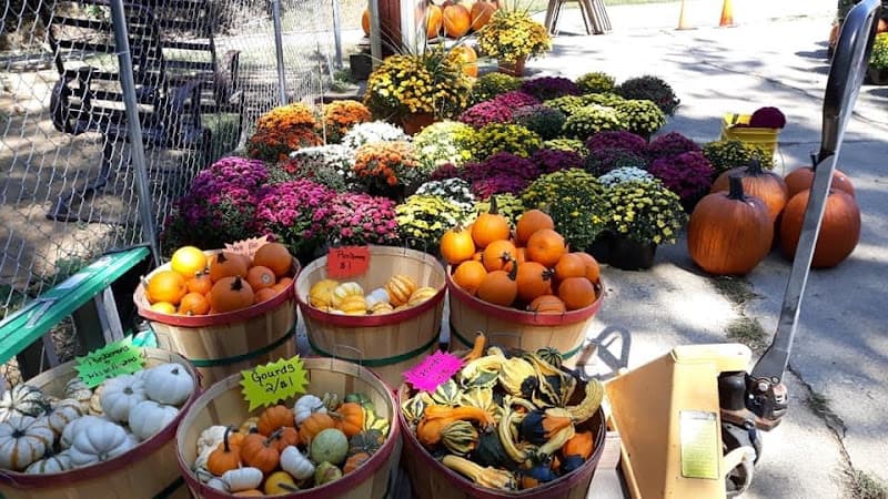 Honeysuckle Hill And The Pumpkin People