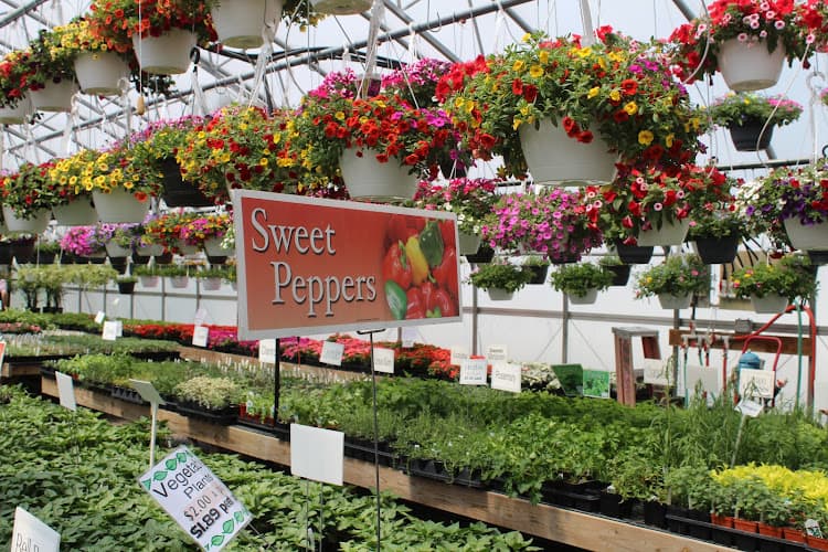 Stauffer's Produce Farm & Greenhouse