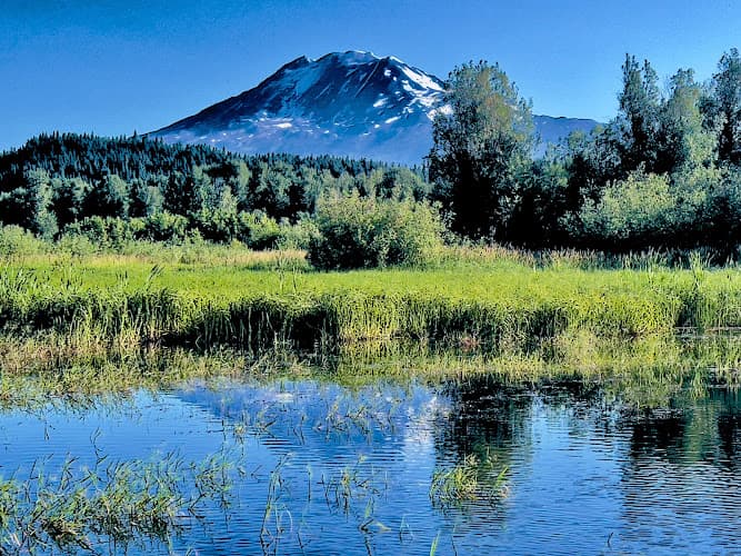 Trout Lake Market