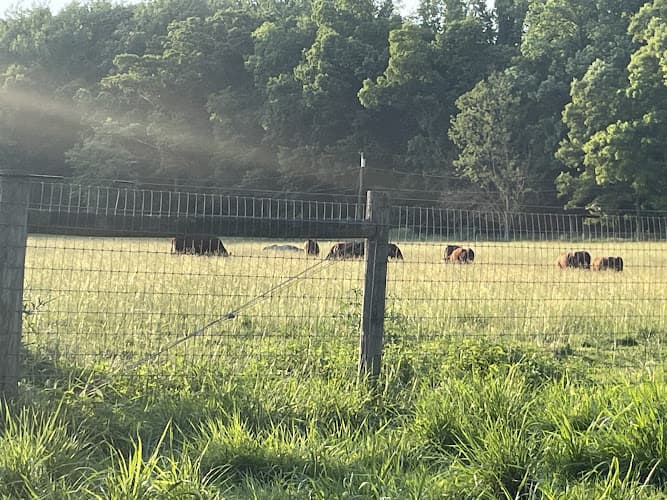 Beechtree Farm