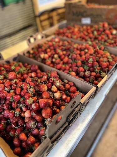 The Berry Bin