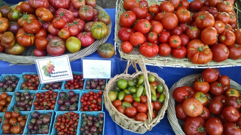 FOOD for Lane County Youth Farm