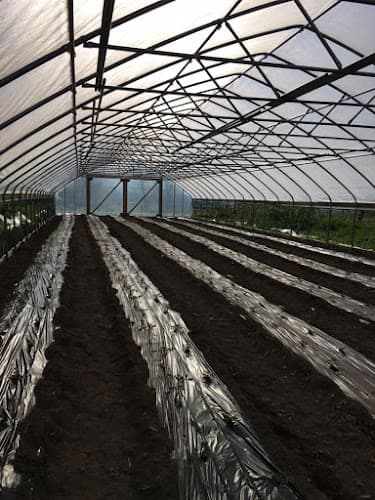 Wagoner Bees & Produce