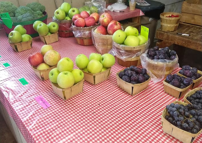 Spring Rose Farm Market