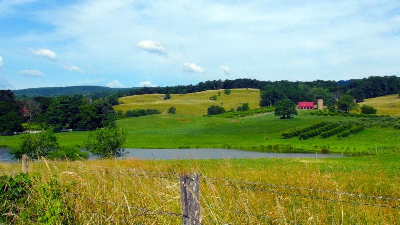 Valley View Farm
