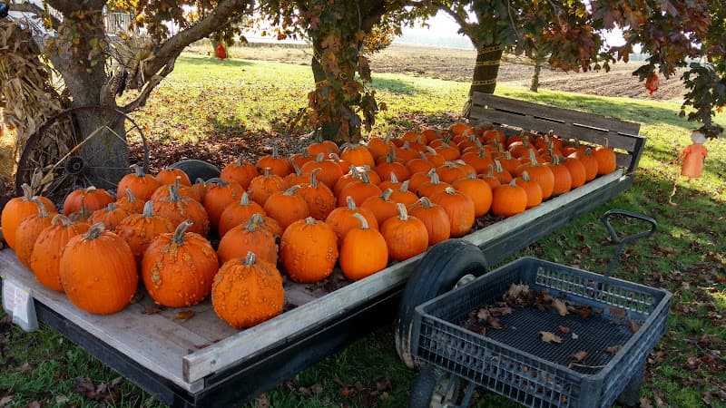 Mares Farm Market